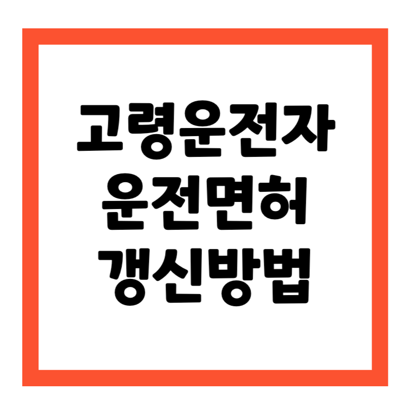 고령운전자 운전면허 갱신