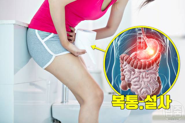 엽산 부족 증상 엽산효능 설사 복통