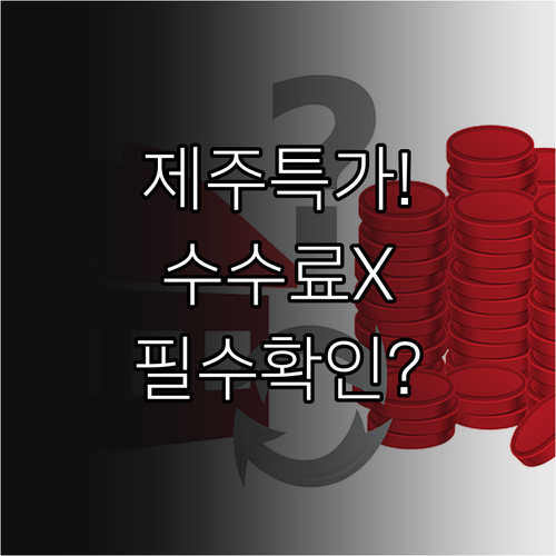 제주 겨울 항공권 특가 취소 수수료와..