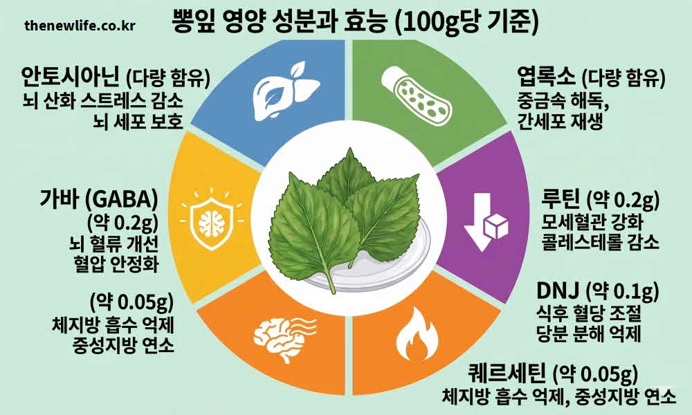 뽕잎 효능 영양성분