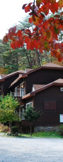 숲나들e 덕적도 자연휴양림 국내 여행지 추천 관련사진