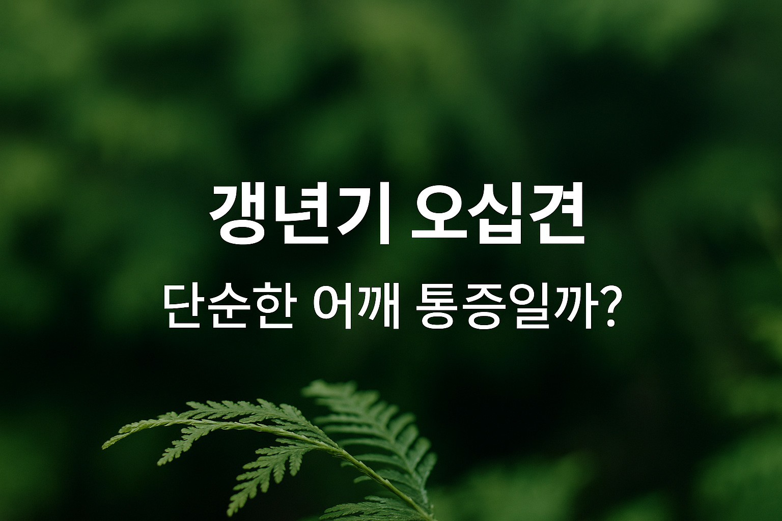 갱년기 오십견 관련이미지