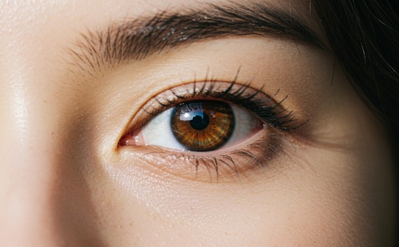 눈 건강 지키는 음식들 (루테인, 블루베리, 시금치, 연어, 당근, 달걀)