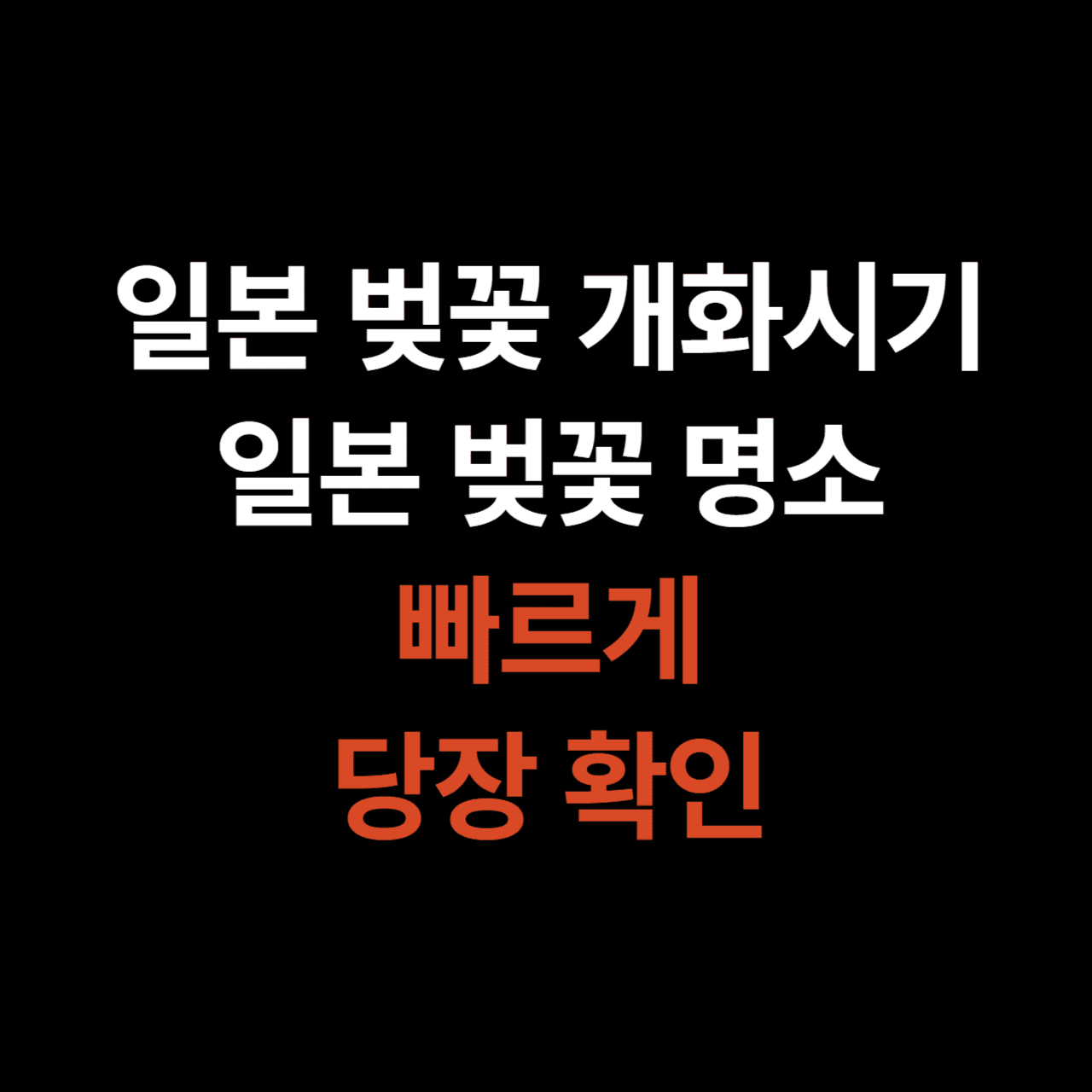 벚꽃