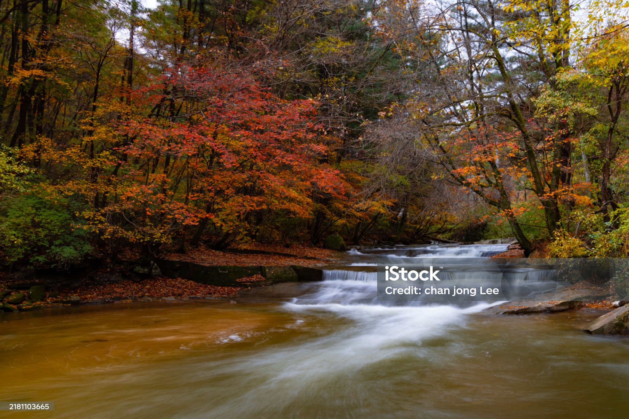 강원도 여행 - 평창