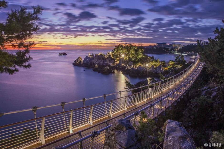 추암 출렁다리 야경