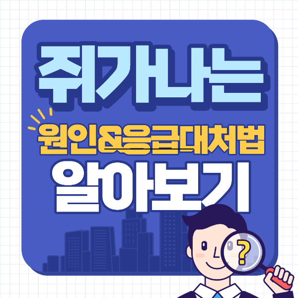 쥐가 자주나는 원인