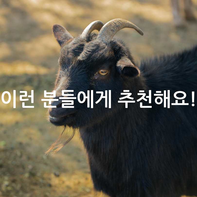 흑염소 진액 효능, 부작용, 복용법