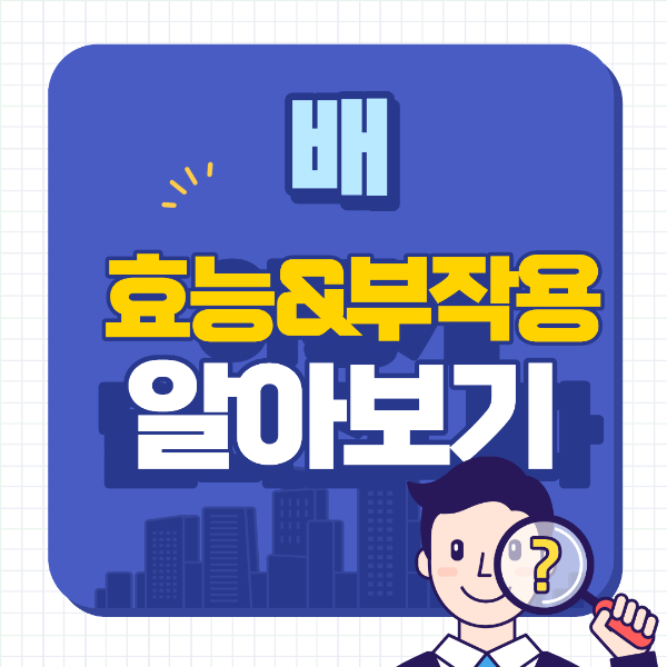 배의 효능과 부작용