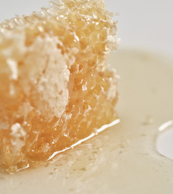 조선미녀 광채프로폴리스세럼