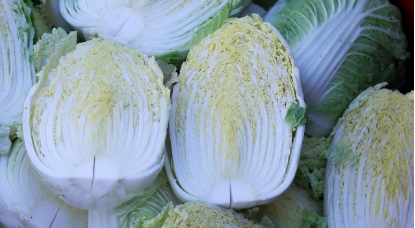 김장 시기 키트 레시피 매트 배추 : 필수 준비