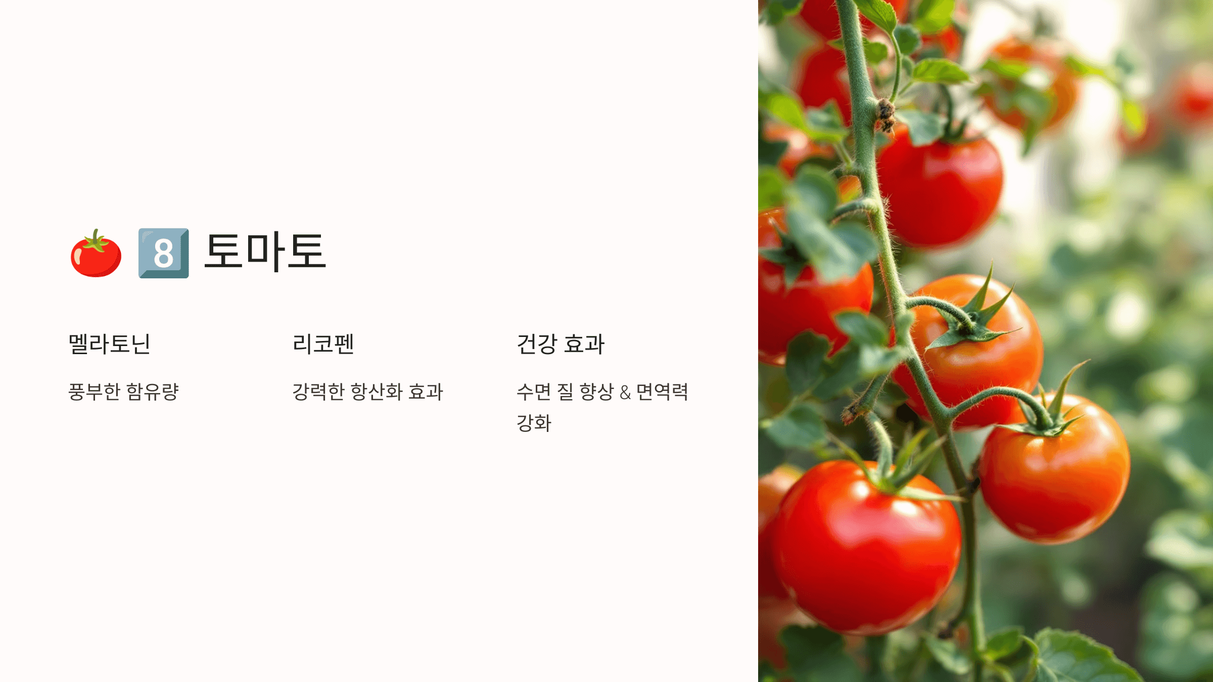 멜라토닌과 관련된 사진입니다.