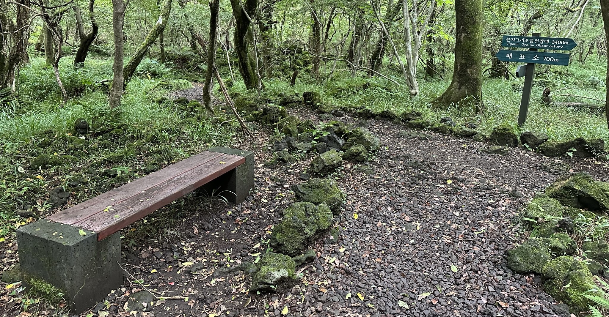 관찰로 휴식의자