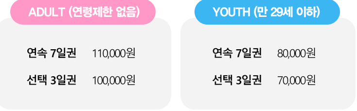 내일로 가격