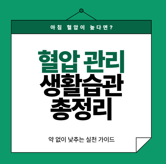 혈압 관리 생활습관 총정리, 약 없이 낮추는 실천 가이드