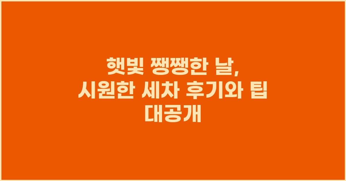 햇빛 쨍쨍한 날, 시원한 세차 후기