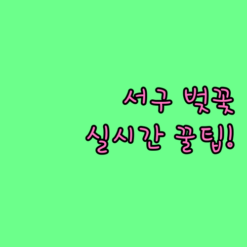 인천 서구 벚꽃 구경하기 좋은 곳과 ..