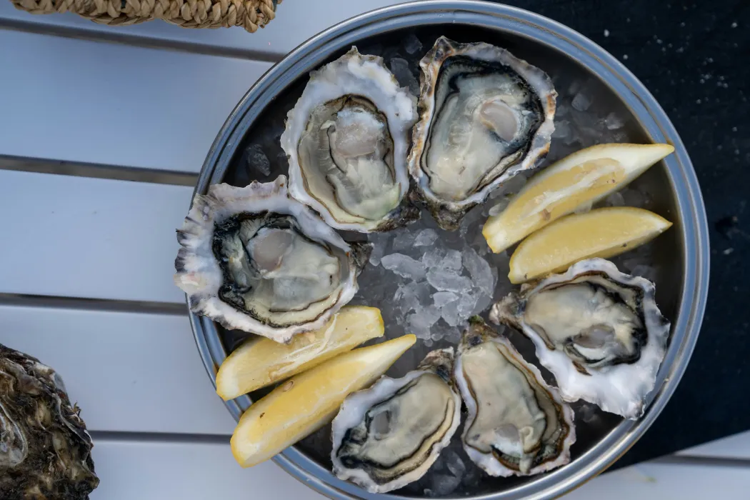 그릇에-담긴-굴과-레몬