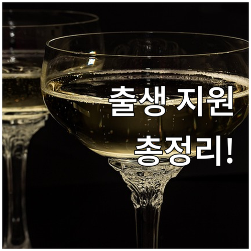 2025 당진시 신생아 출생 지원 정..