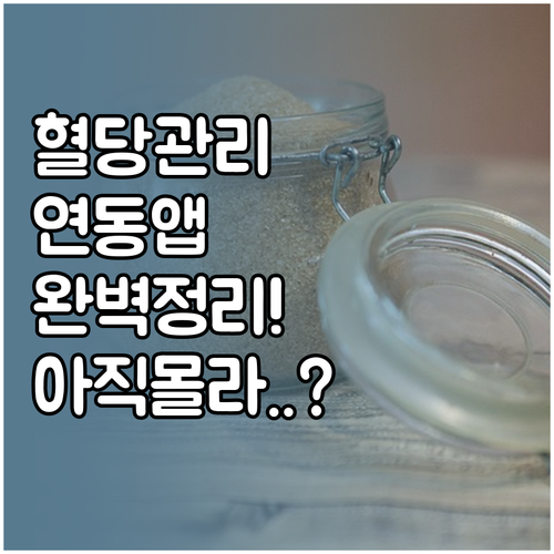 연속혈당측정기 연동 가능한 혈당 관리..