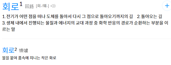 다음 사전 캡처