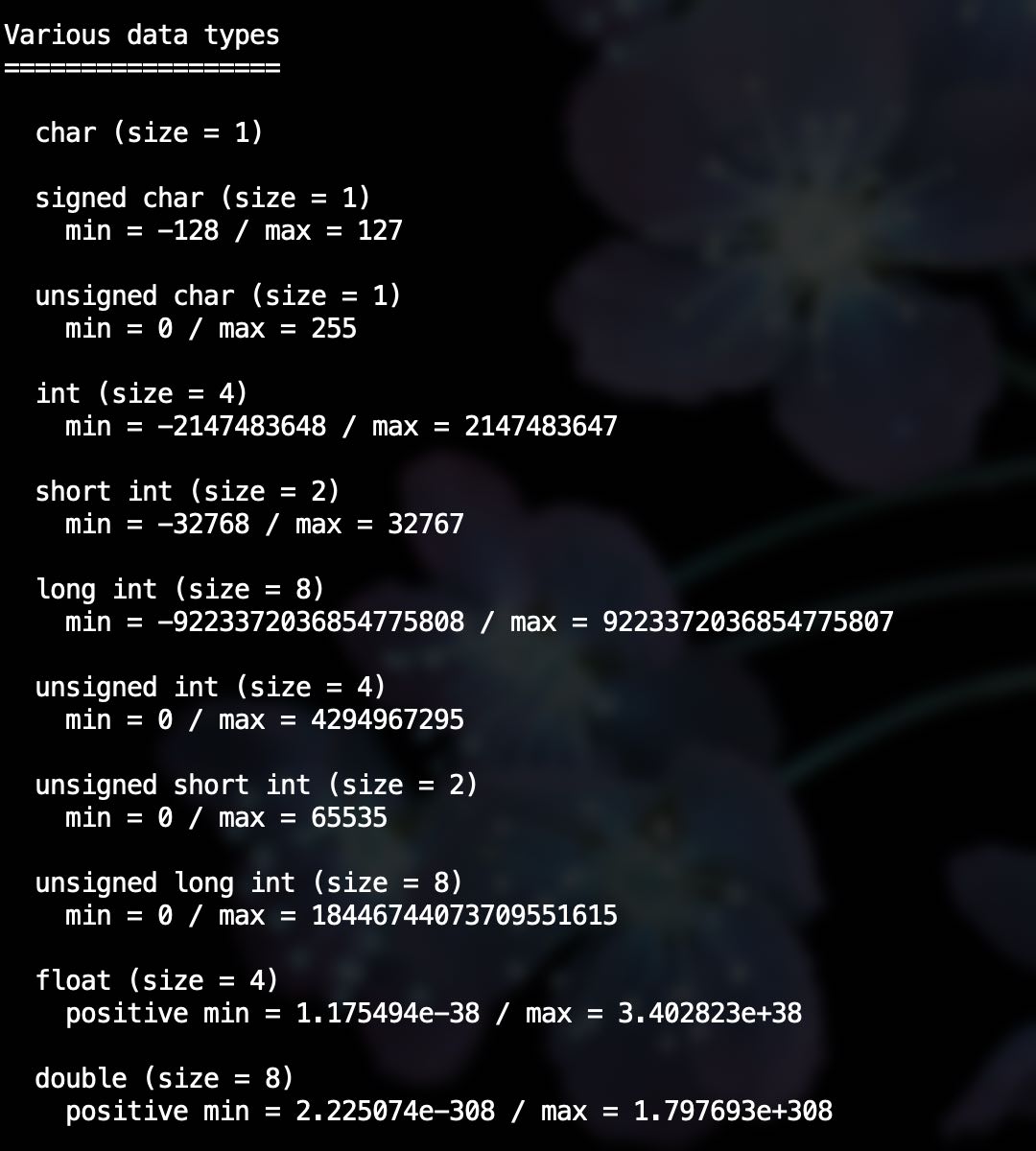 screenshot of terminal console, showing execution of a program to print the size and range of various data types in C language