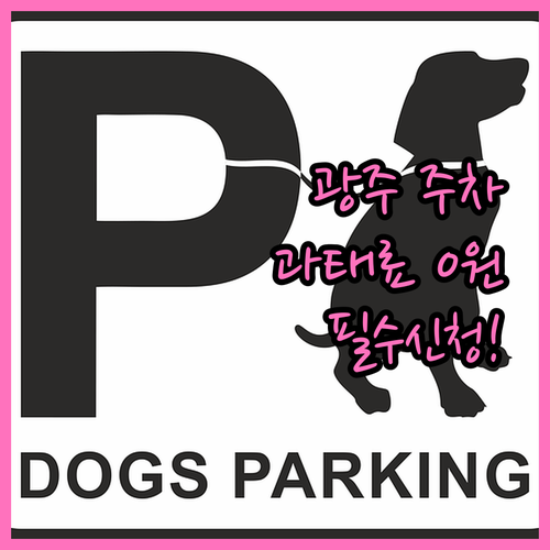 광주시 주정차 단속 알림 문자 신청하..