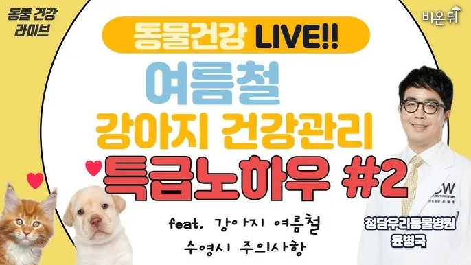 여름철 건강 필수 열사병 일사병 증상 예방 응급처치 완벽 가이드 안전 수칙_4