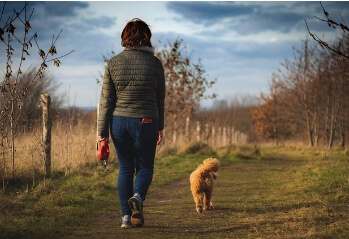 겨울철 강아지 산책하는 모습