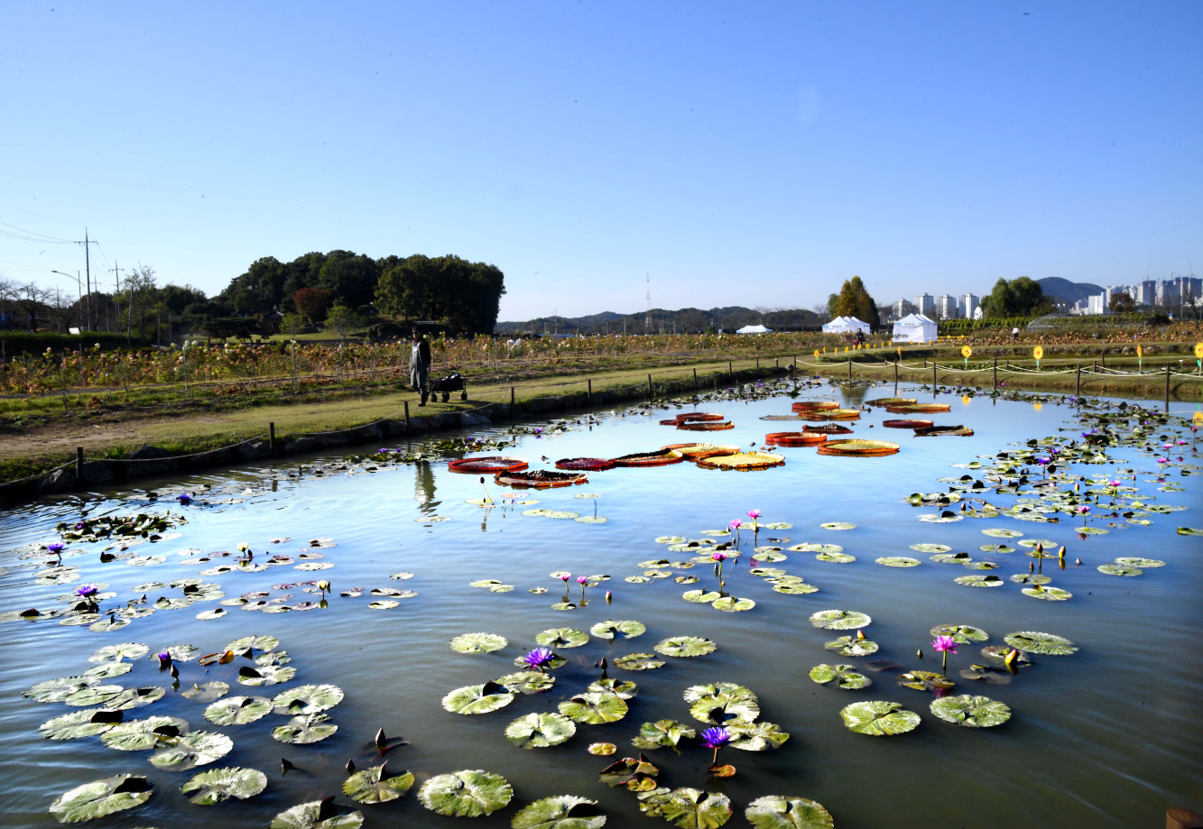 시흥 가볼만한곳 베스트10