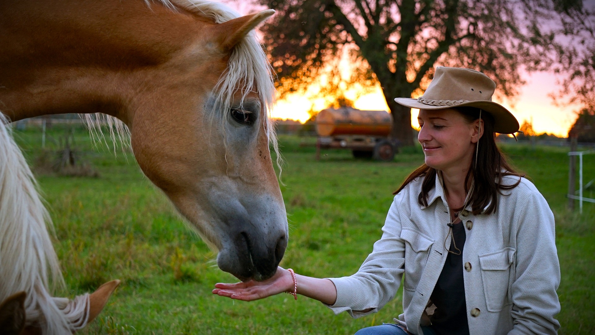 &amp;quot;요양병원 가기 싫다면?&amp;quot; 치매&middot;간병 보험&amp;#44; 요양비보다 &amp;#39;재가급여&amp;#39; 특약이 중요한 이유
