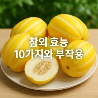 참외 효능 및 영양 정보 섭취 효과 정리_12