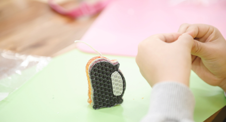 칠곡 꿀벌나라 테마공원