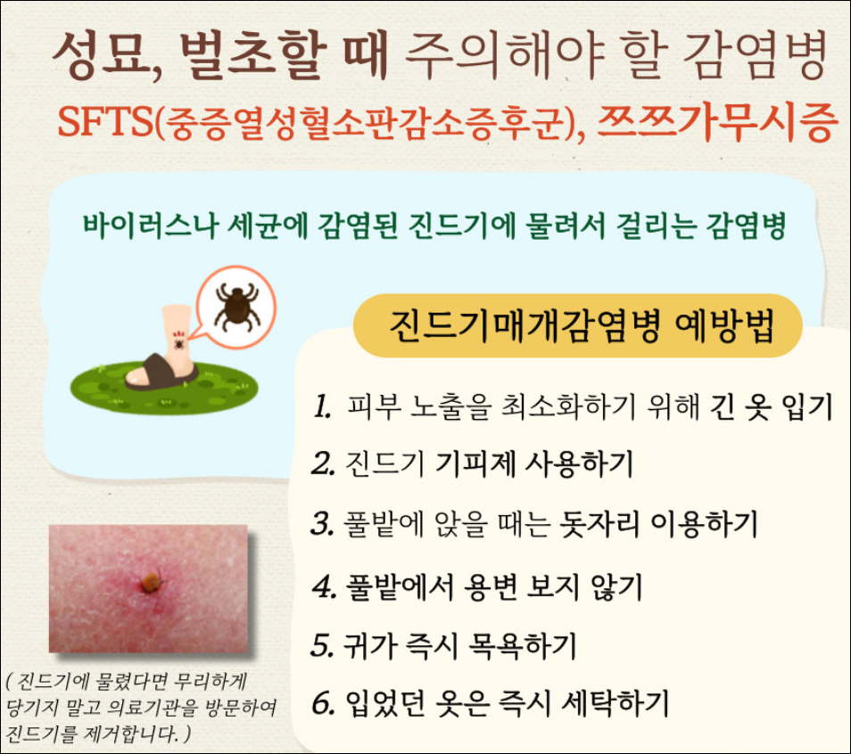 추석 연휴에 반드시 조심해야 할 감염 병 예방 4가지
