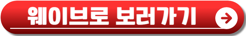 tv조선 대학가요제