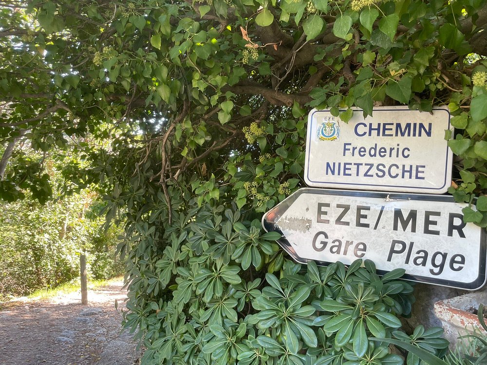 모나코여행 관련사진