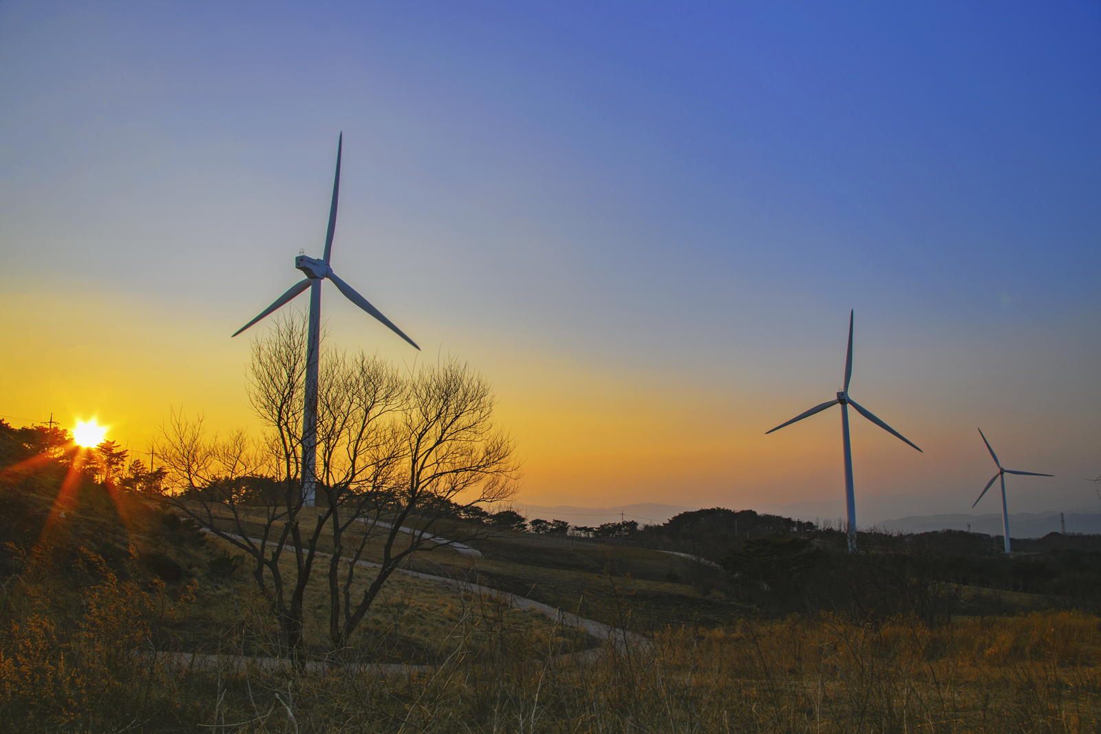 경주 풍력발전 바람의 언덕