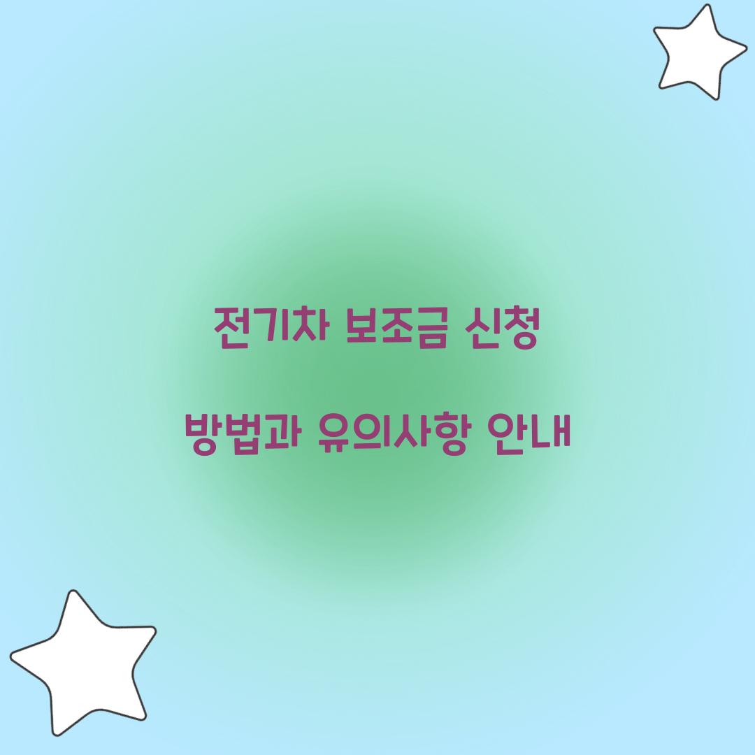 전기차 보조금