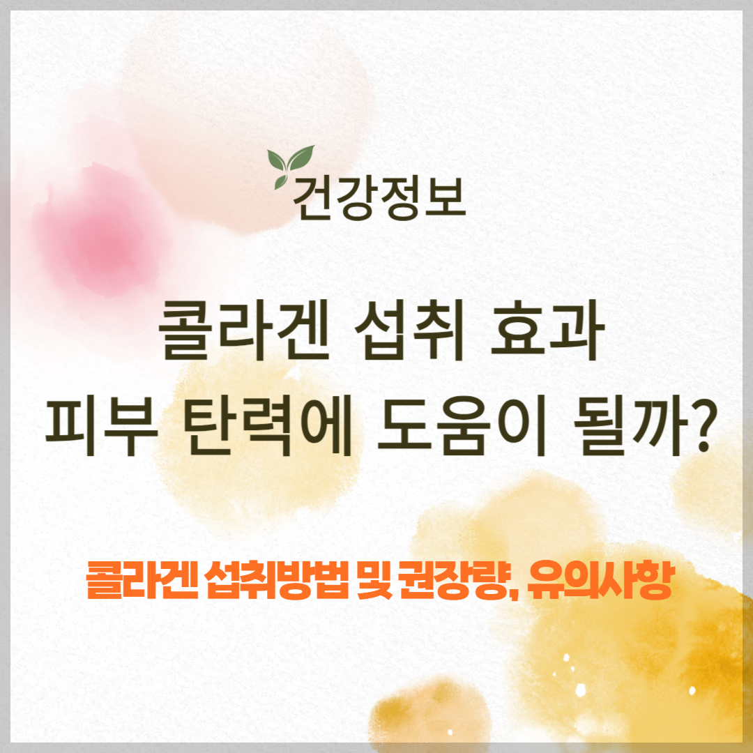 콜라겐 섭취 효과