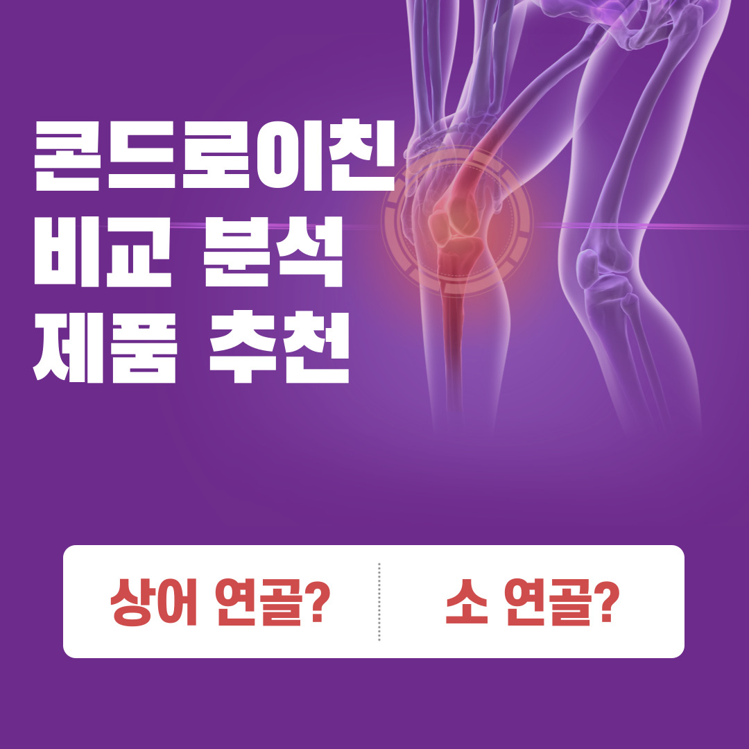 콘드로이친-비교-분석