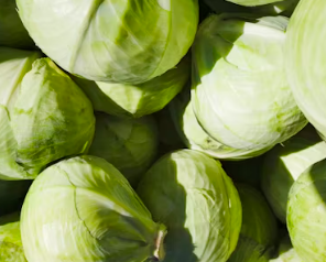 위염에 좋은 음식 영양제 식단