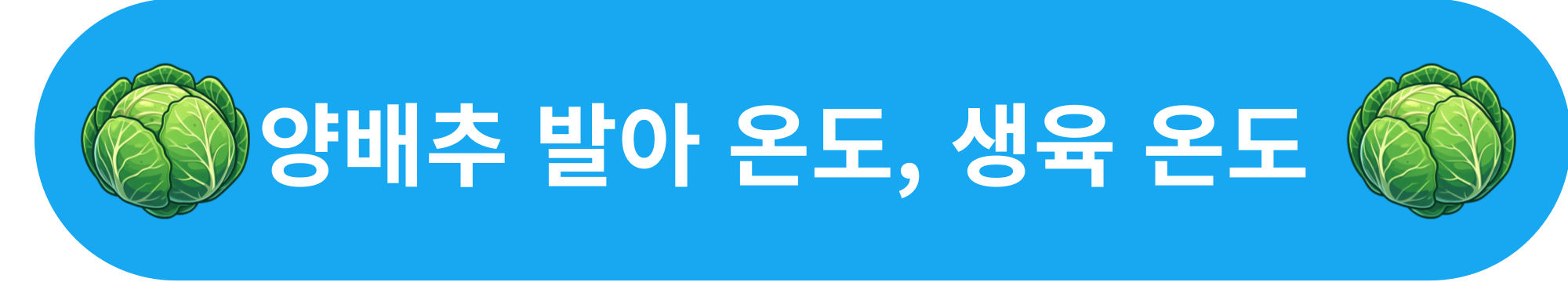 양배추 발아 온도 생육 온도