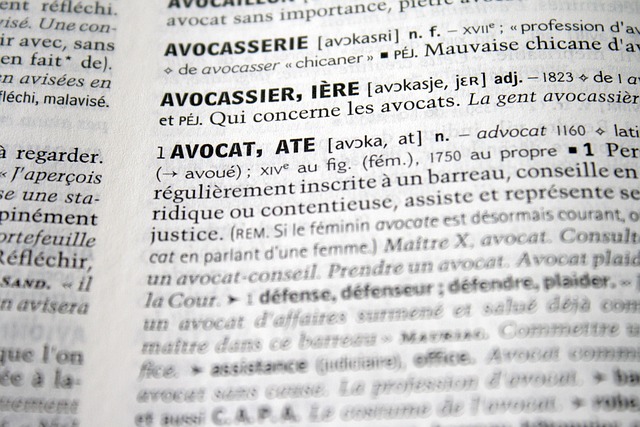 서초동 어쏘 변호사 뜻 관련 이미지