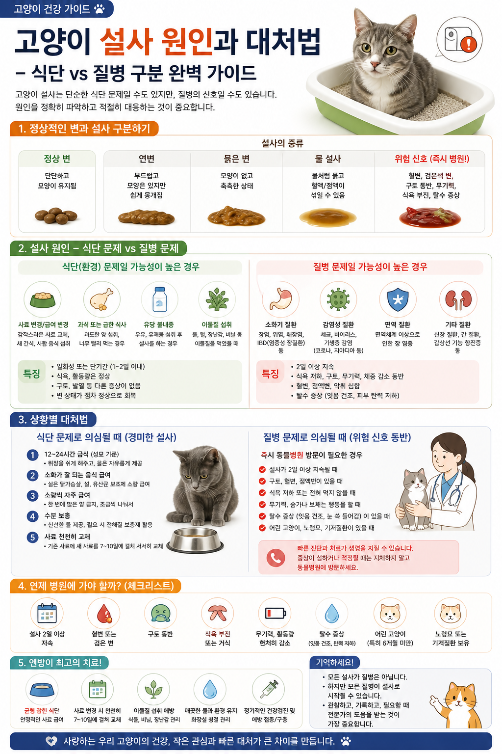고양이 설사 원인과 대처법 설명사진