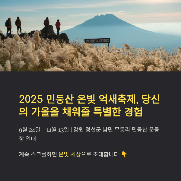 2025 민둥산 은빛 억새축제 완전 정리: 일정&middot;프로그램&middot;맛집&middot;교통까지!