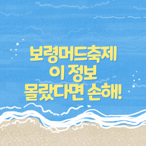 보령머드축제