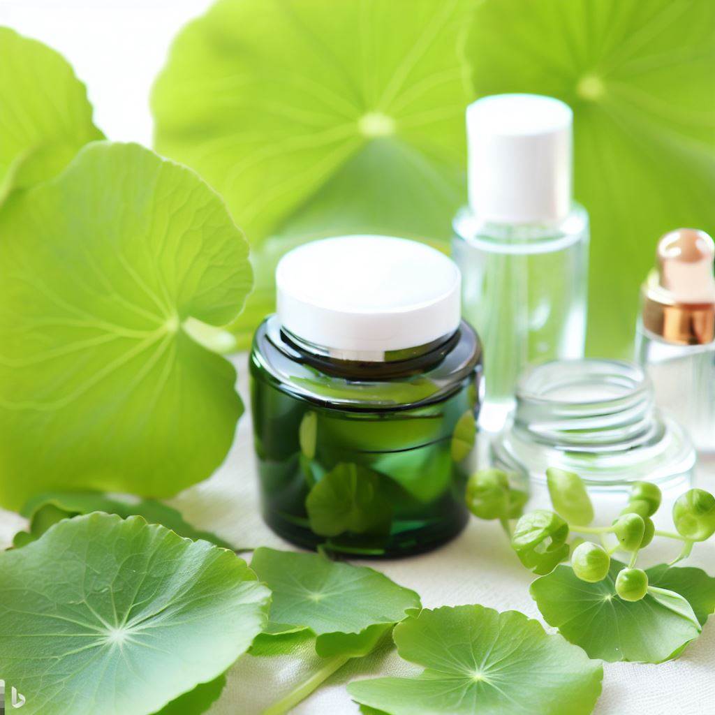 센텔라 아시아티카(Centella asiatica)