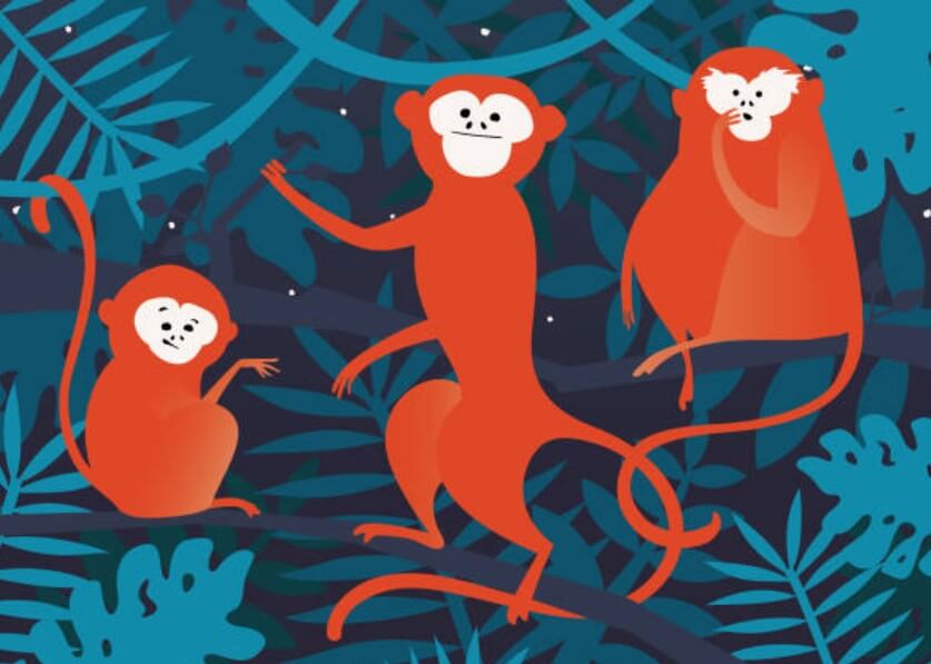 2023년원숭이띠애정운 원숭이띠애정운