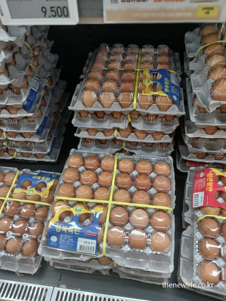 여성 탈모에 좋은 음식인 단백질 공급원 계란 사진