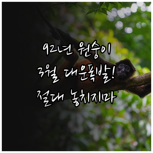 1992년생 원숭이띠 2026년 3월..